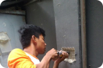 SAR DESIGN BUILD - AssessmentT Struktur Gedung Non Destructive Test (NDT) Hammer