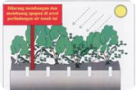 SAR DESIGN BUILD - Go Green Development Building Lifestyle