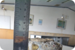 SAR DESIGN BUILD - Investigasi Struktur Bangunan Gedung "Destructive Test"