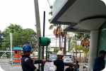 SAR DESIGN BUILD - Investigasi Struktur Bangunan Gedung "Destructive Test"