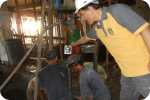 SAR DESIGN BUILD - Re-inforcement Building