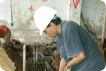 SAR DESIGN BUILD - Re-inforcement Building
