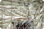 SAR DESIGN BUILD - Re-inforcement Building