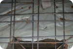 SAR DESIGN BUILD - Re-inforcement Building
