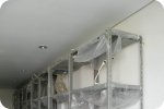 SAR DESIGN BUILD - Renovasi Showroom - Mabua Harley Davidson (Kelapa gading)
