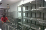 SAR DESIGN BUILD - Mabua Harley Davidson (Surabaya)