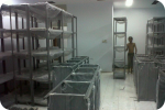 SAR DESIGN BUILD - Mabua Harley Davidson (Surabaya)