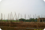 SAR DESIGN BUILD - Stasiun KA Losari