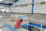 SAR DESIGN BUILD - Steel Construction Garment
