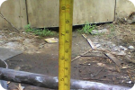 SAR DESIGN BUILD - Steel Construction Garment