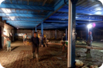 SAR DESIGN BUILD - Steel Construction Garment