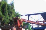 SAR DESIGN BUILD - Steel Construction Garment