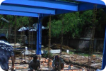 SAR DESIGN BUILD - Steel Construction Garment